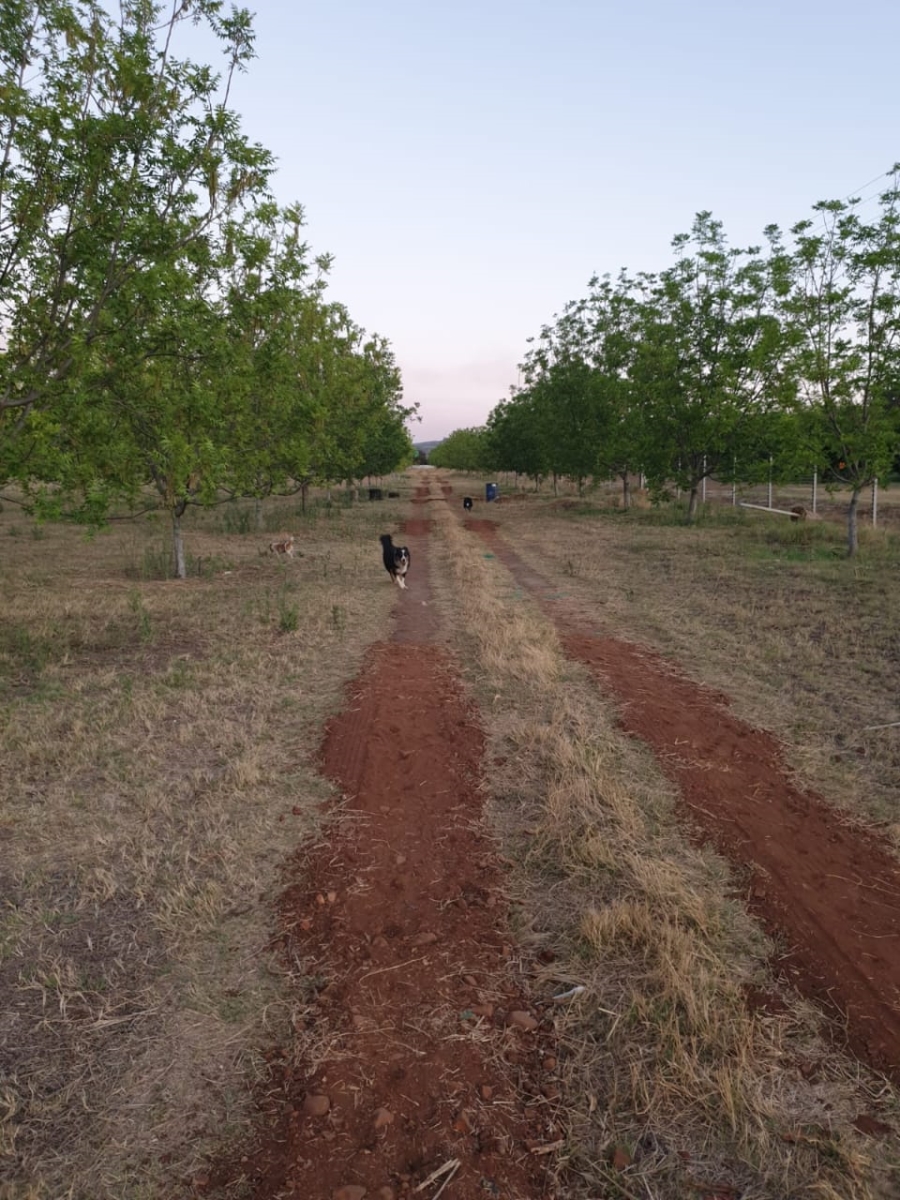 4 Bedroom Property for Sale in Mooinooi North West